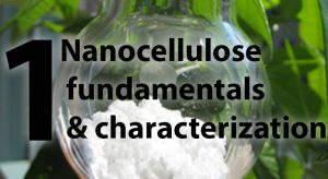 Nanocellulose fundamentals and characterization